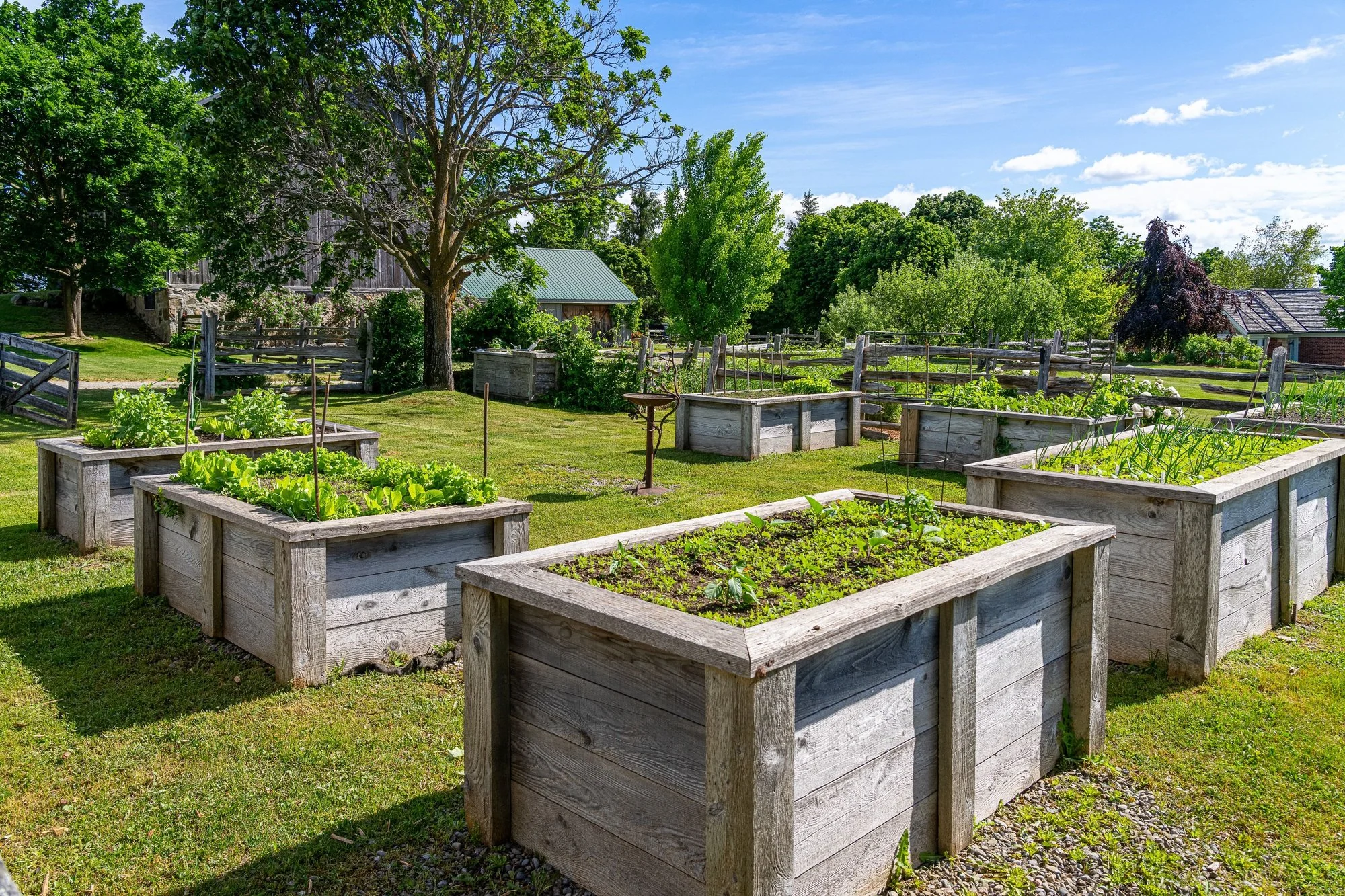 Raised garden beds in the farm's kitchen garden