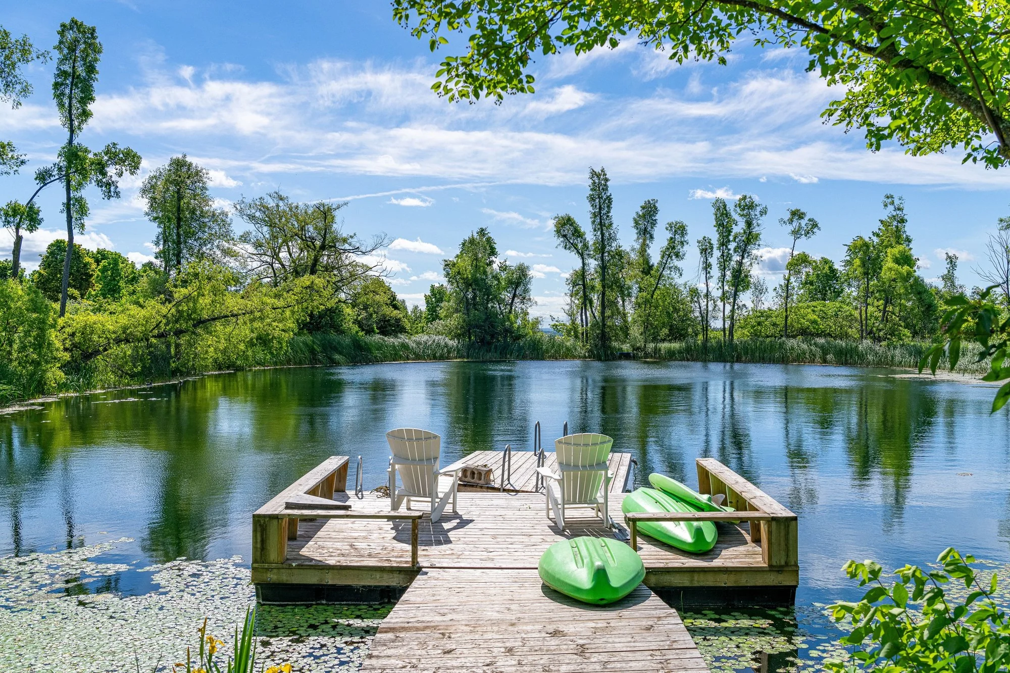 A wooden dock looking across the pond at Fairview Farm